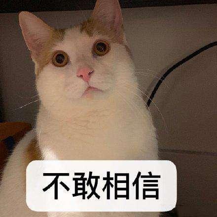 车辆工程遭抛弃?就连同济,吉大的车辆工程也不行了吗?