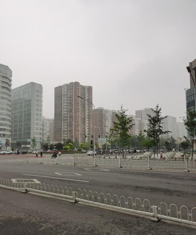 下面是北京市朝阳区常营民族乡地区的"中央公园"——常营公园,整体看