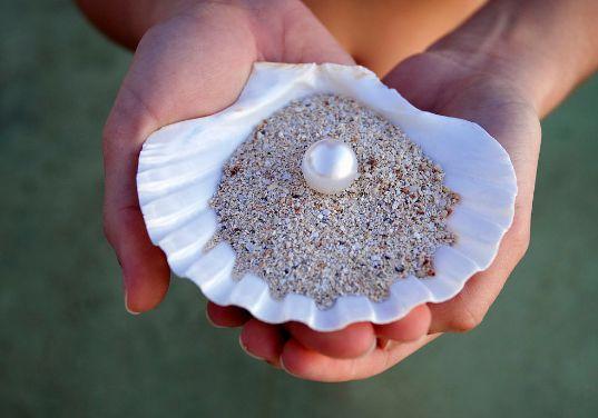 珍珠被取出来后剩下的贝壳会怎么处理看完涨姿势了