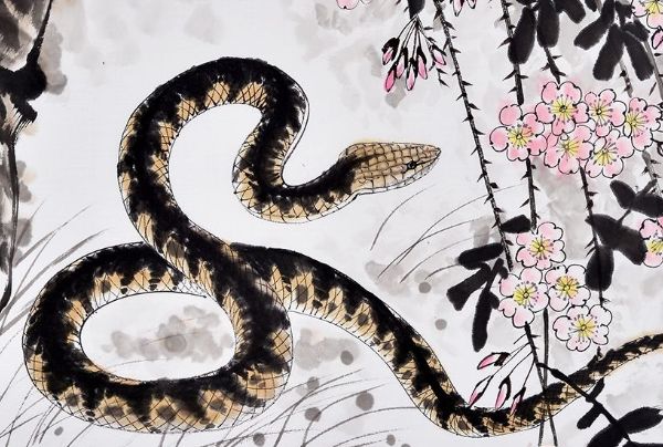 65年的"金蛇人",未来十年财运上涨,财从天降富贵吉祥