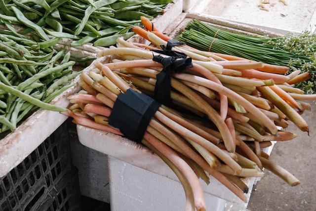 这种长得像藕带的刺藤市场卖5元一斤识货之人都爱买来吃