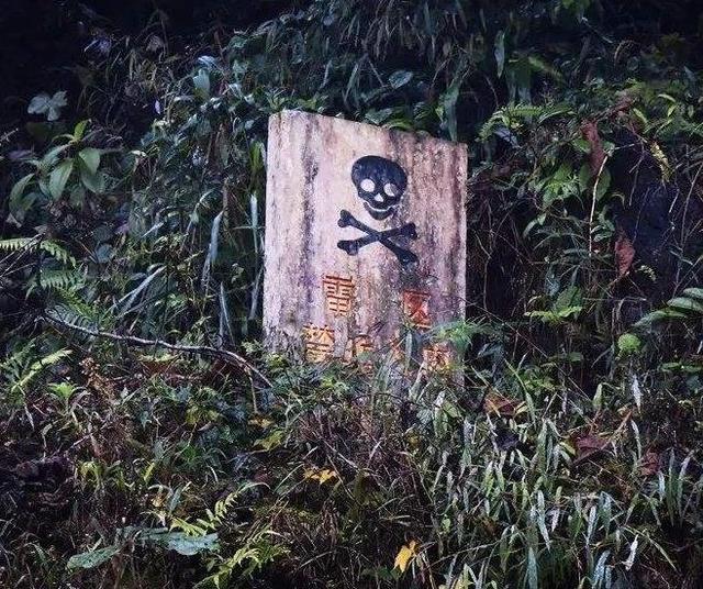 云南最神秘的村落漫山遍野藏有地雷村民简直步步惊心
