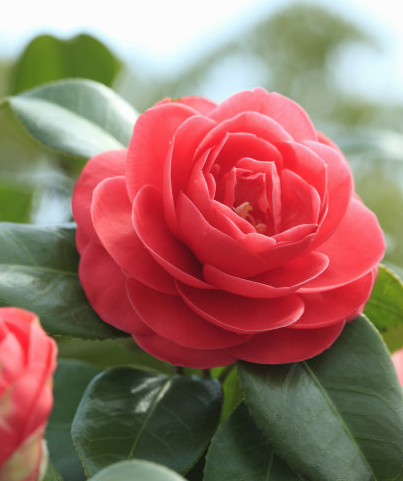 进入下个月,4属相财星入命,横财降临,好运临身,福禄多多