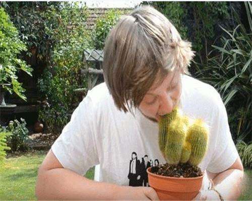 小伙为了赚钱直播吃仙人掌但是之后的事让他后悔莫及