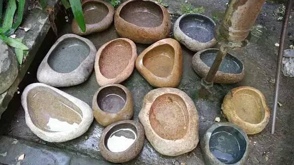 路边的石头也有大用处,这样一加工,花用了蹭蹭长!