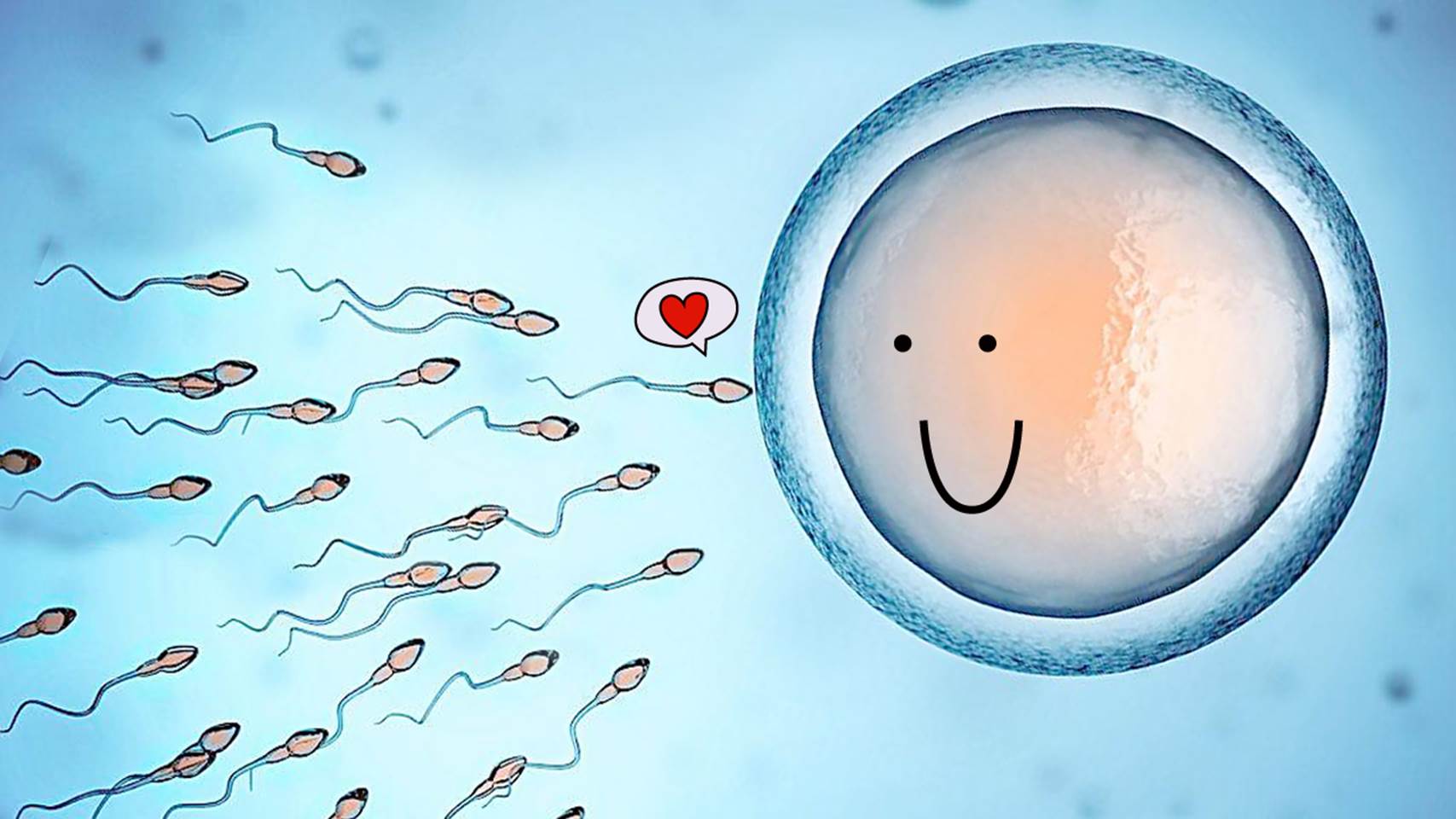 年龄不是主要,关键看这些警报响了没|小蝌蚪|生育|男性_新浪新闻