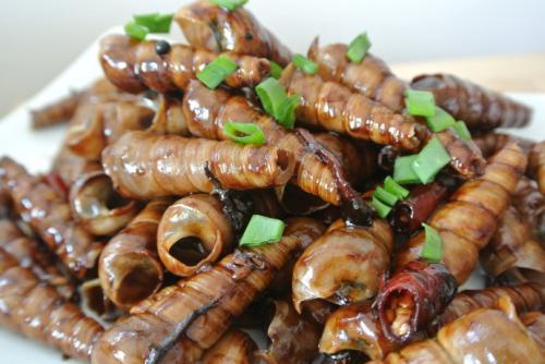 美食推荐酱爆钉螺干贝玉米汤五味黄瓜干煸藕条