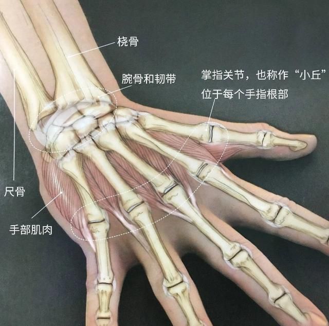 错误体式导致手腕伤害,三个动作帮你修复损伤,灵活腕关节