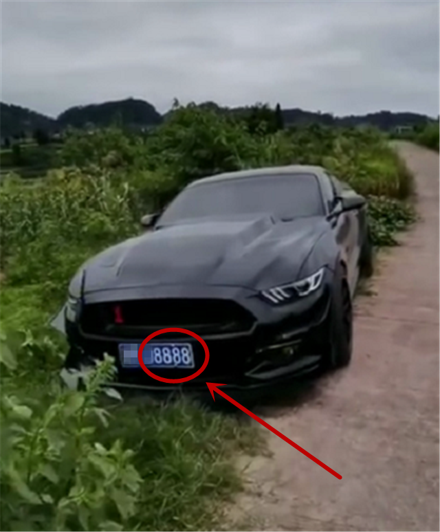 挂8888牌野马,车牌值6位数,还和"发"是谐音,上街回头率5颗星