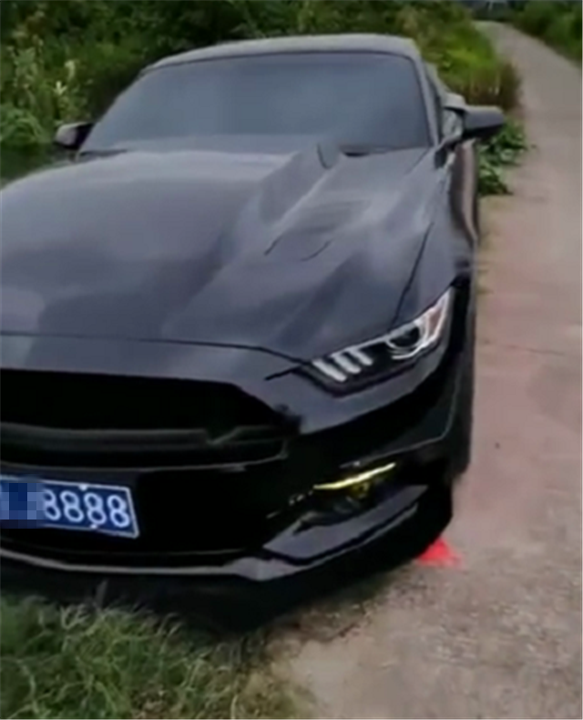 挂8888牌野马,车牌值6位数,还和"发"是谐音,上街回头率5颗星