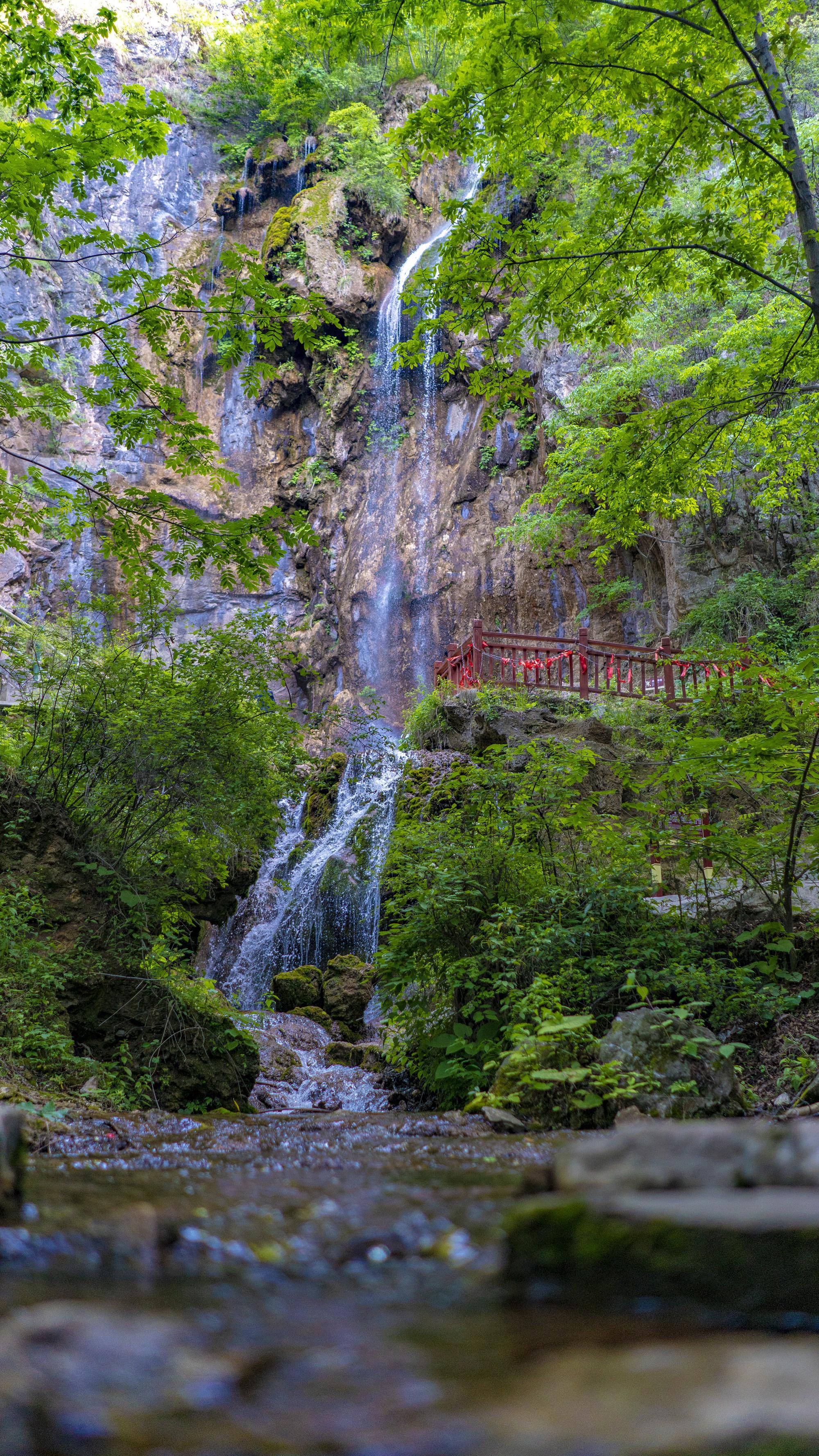河南这个瀑布被称为洛阳栾川第一瀑,百米落差婉约柔美,旅游名片