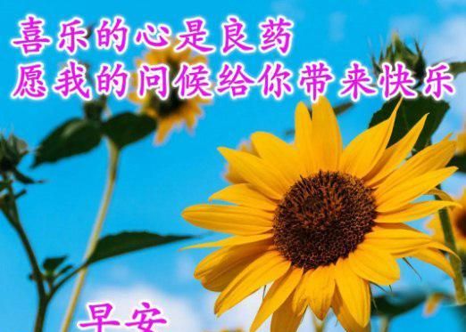 星期一早上问好精选祝福图片感悟人生的早安句子