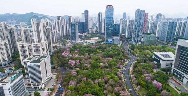 广西各高中一本排名_广西强烈推荐的四所高中,1所一本率超95%,另外3所也