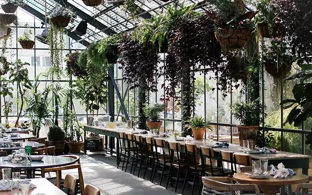 正文  洛杉矶韩国城的the commissary餐厅   即使是钢筋混凝土的丛林