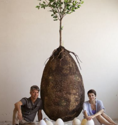 探险家在树下发现了巨蛋检验后惊奇发现蛋里有人