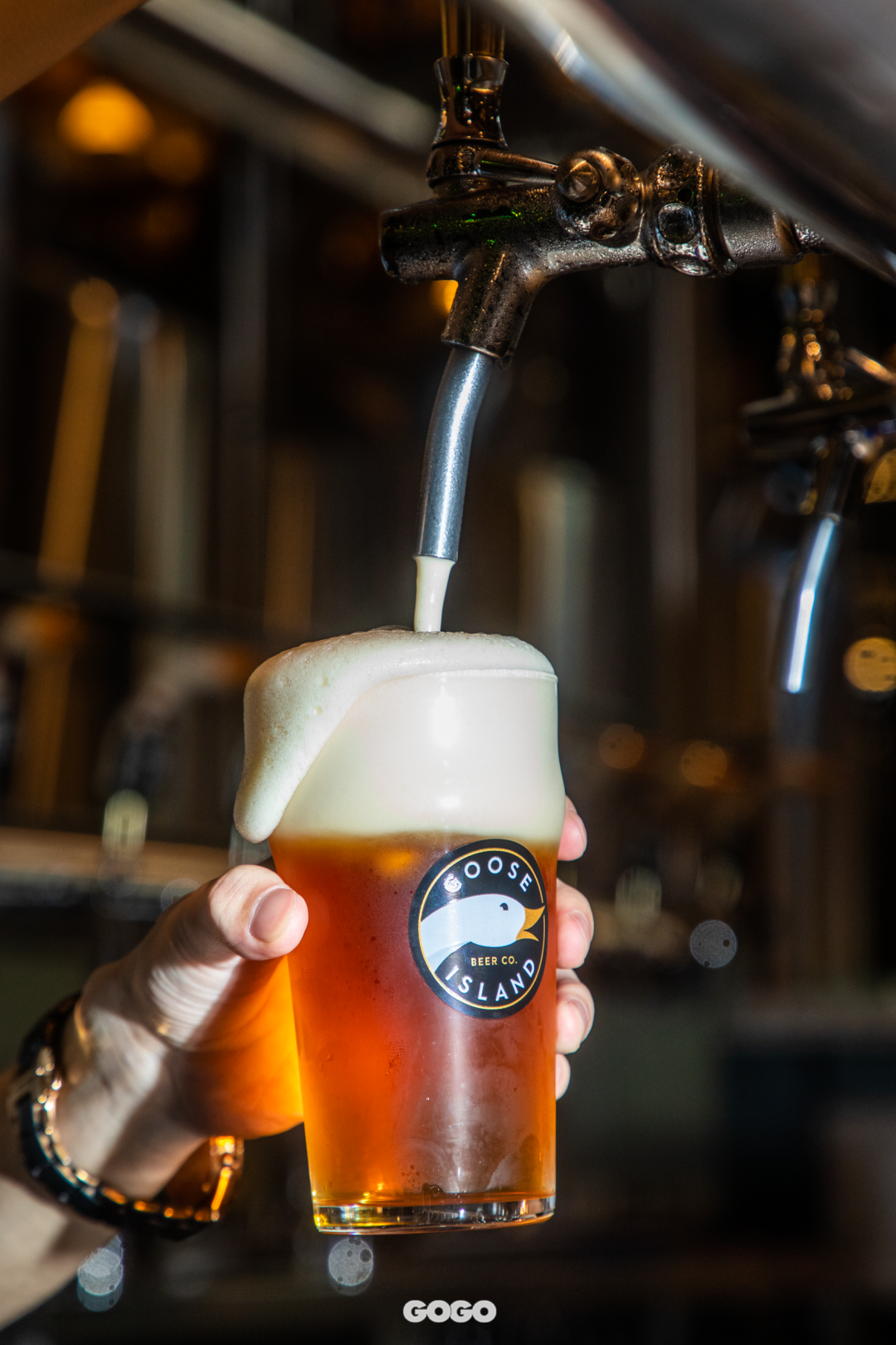 99杯ipa免费送精酿先锋鹅岛夏日宠粉模式已开启