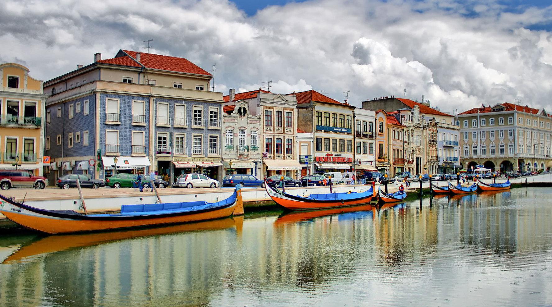 大梅小镇原来是这么来的?遍地的金钱螺这是抓嗨了,又能卖个好价