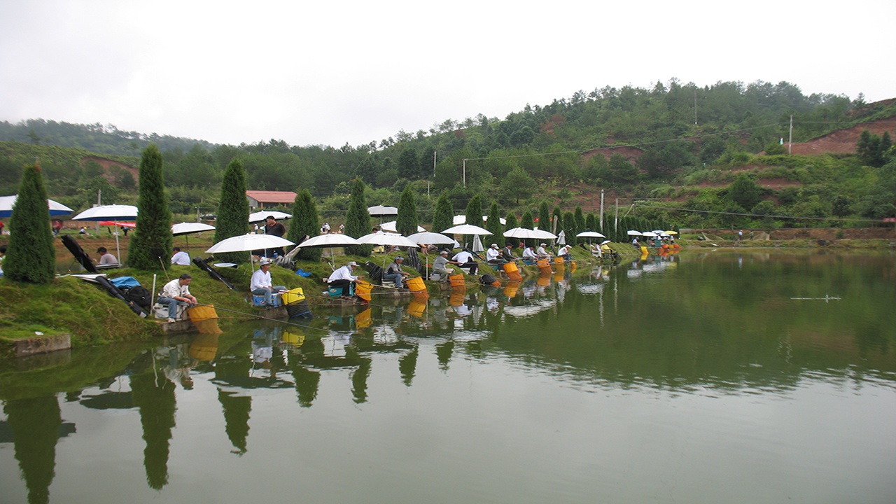 鱼塘500个钓位8个管理员24小时营业年入300万算不算赚钱