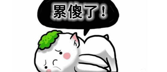 showgirl小姐姐累坏了呆萌小仓鼠萌到让人受不了