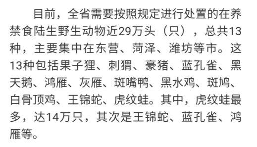 动物和两栖动物各有一种,昆虫并不在被禁的动物之内,所以知了猴的养殖