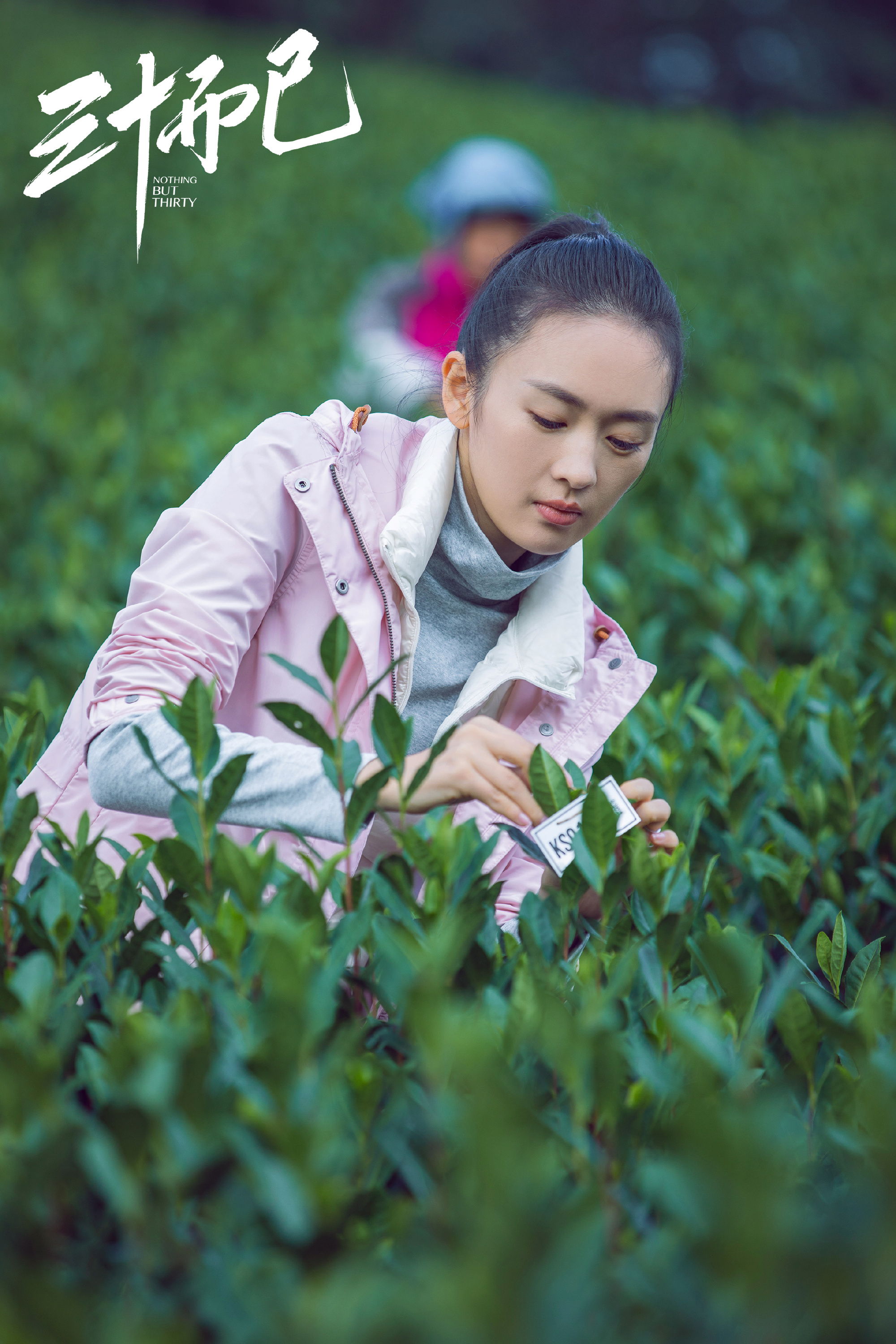 陈菲,徐晓鸥联手操刀,江疏影,童瑶,杨玏,毛晓彤,李泽锋等主演的电视剧