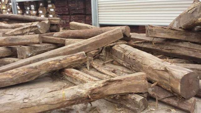 世界上最贵的木材1公斤上万元不识货的拿它当柴烧你家有吗