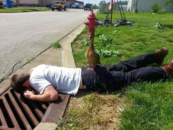 路边发现男子趴在地上疑惑不已凑近查看后立刻为他点赞