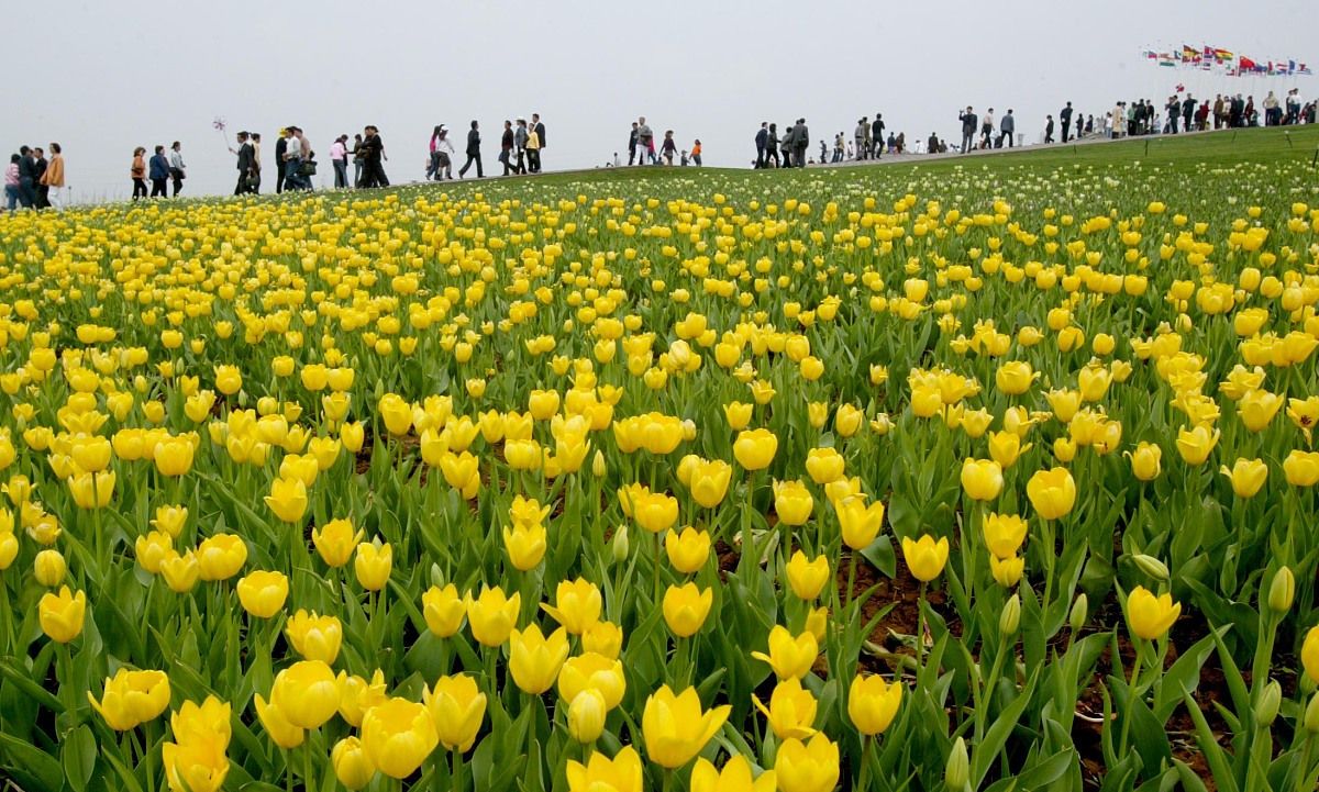 沈阳植物园:东北最大的城市花园