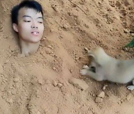 男子将自己埋进泥土里,狗狗以为主人死了,接下来的反应令其感动