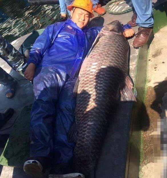 湖中钓到上百斤大鱼三人才能抱起, 专家估值可达上万元