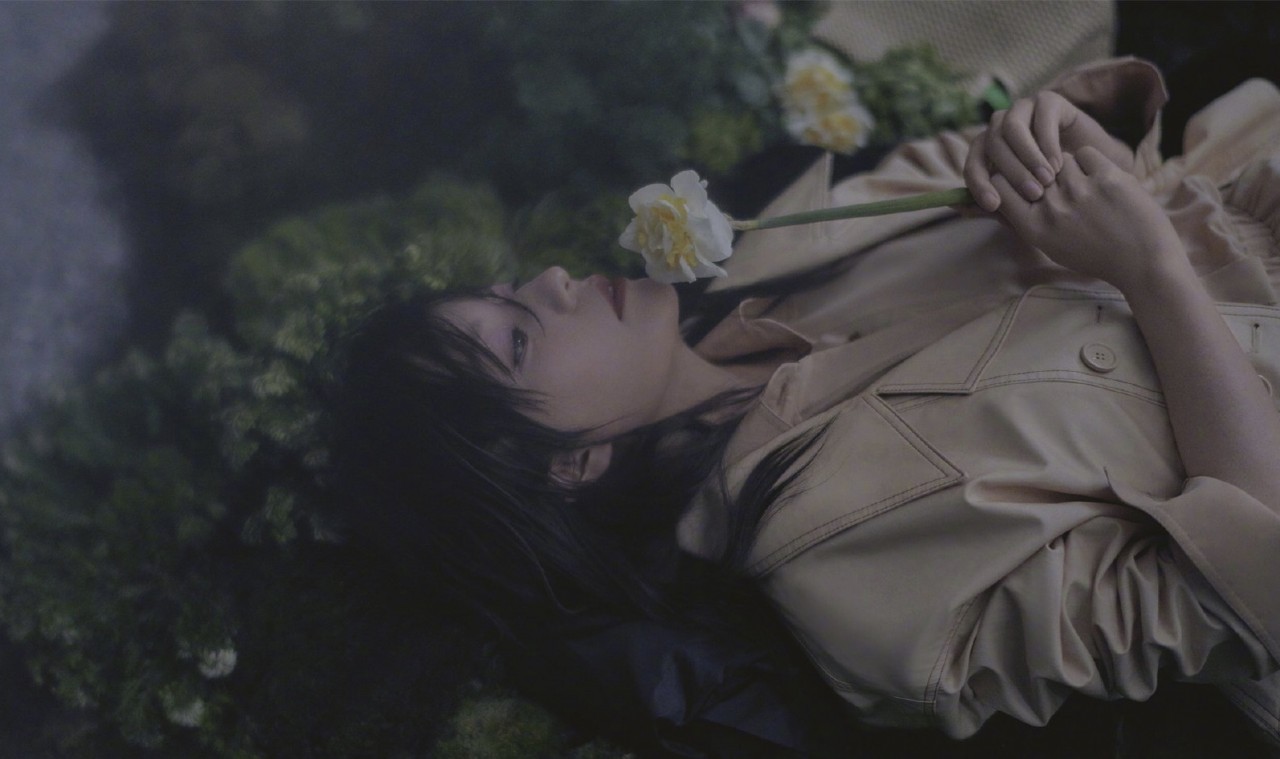 仿佛林中仙子降临,赵薇的仙气朦胧大片太可以了