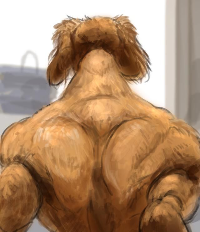 家里的狗什么时候变得这么壮了?这一拳下来,我可能会死