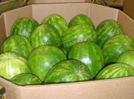 男子带着一箱西瓜过安检,被安检人员拦截,当场切开暴露真相休闲区蓝鸢梦想 - Www.slyday.coM 男子带着一箱西瓜过安检,被安检人员拦截,当场切开暴露真相休闲区蓝鸢梦想 - Www.slyday.coM