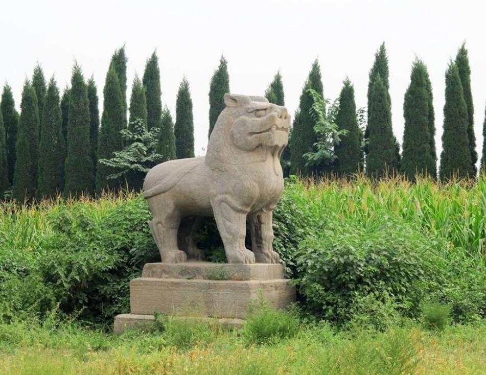 看着唐恭陵神道两边精美的石雕,大家讨论着,如果真的能把宋陵那些石雕