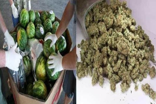 男子带着一箱西瓜过安检,被安检人员拦截,当场切开暴露真相休闲区蓝鸢梦想 - Www.slyday.coM 男子带着一箱西瓜过安检,被安检人员拦截,当场切开暴露真相休闲区蓝鸢梦想 - Www.slyday.coM