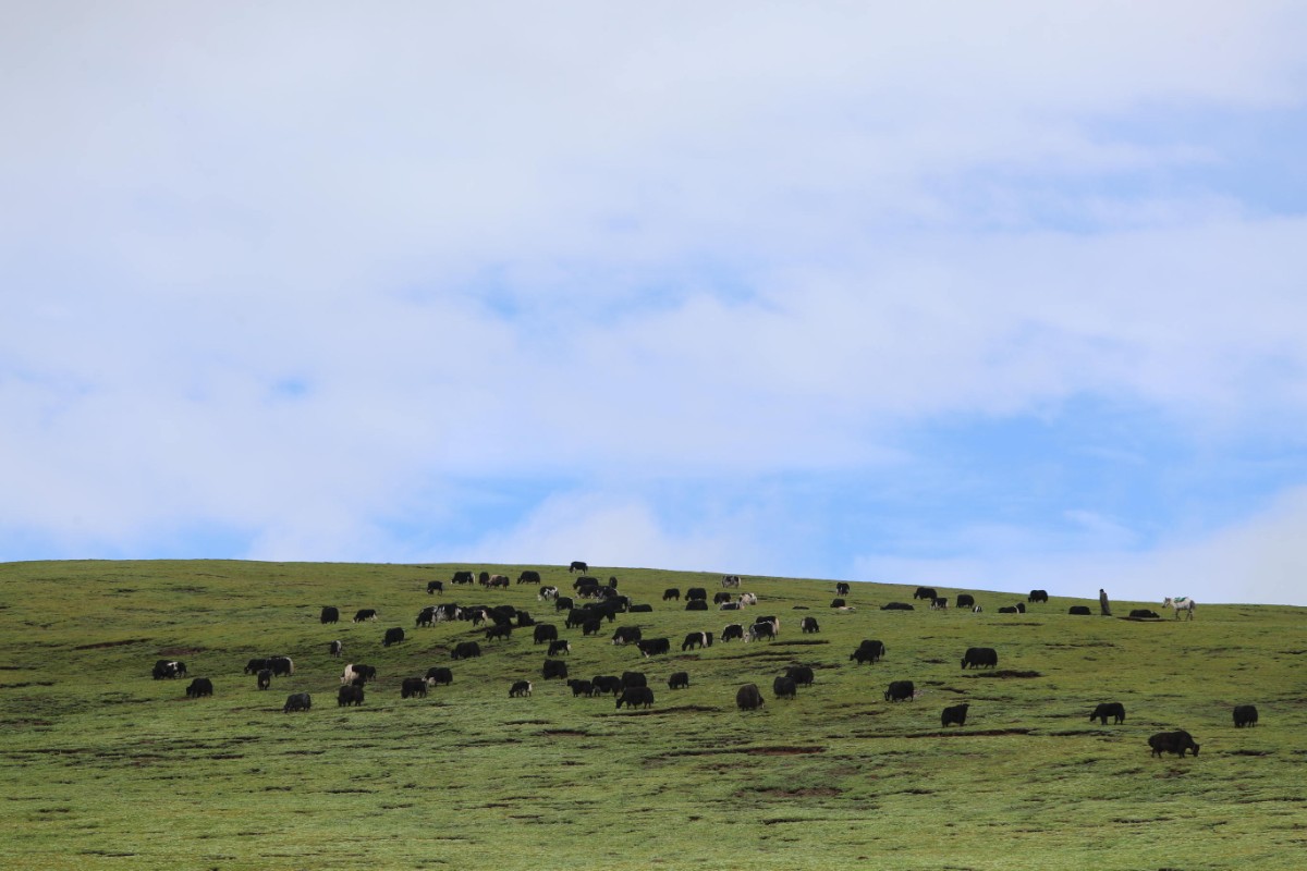 米以上地处三江源国家自然保护区核心地带青海省玉树藏族自治州称多县