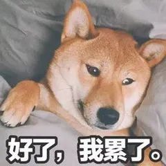 刷屏的新梗网抑云下面咋就撕逼起来了