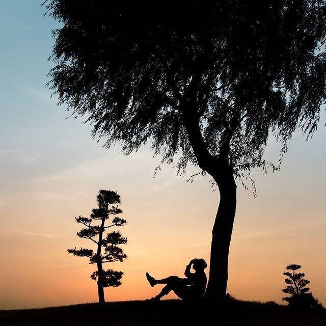 深夜辗转难眠发圈的句子温暖治愈让人释怀心安