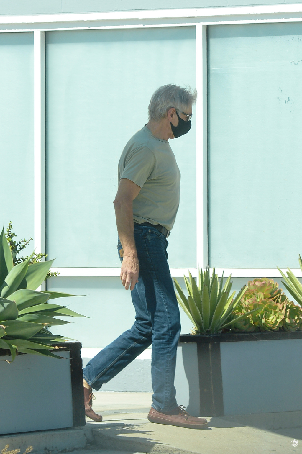 酷老头!78岁哈里森·福特近照曝光,满头白发却依旧是倒三角身材