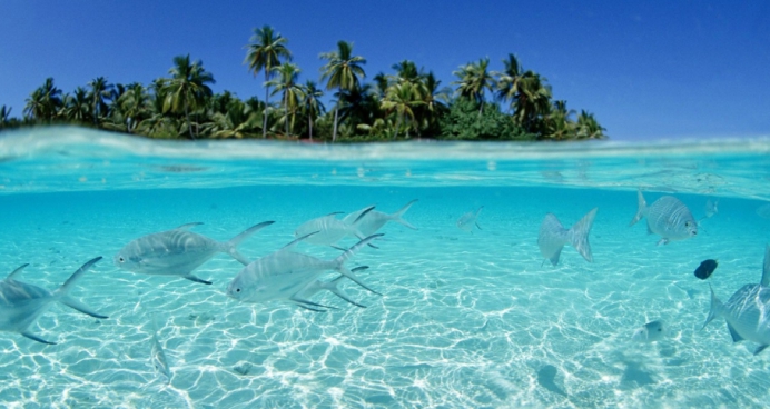 蓝色|海水|大海_新浪新闻