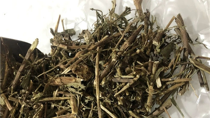 农村常见牡蒿草,好处多,城里卖30一斤,看完记得告诉身边人!