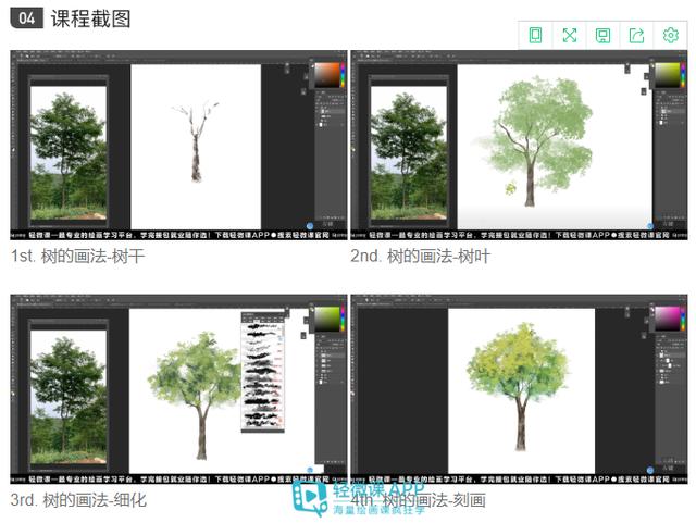 动漫画的树怎么画?零基础画树教程!