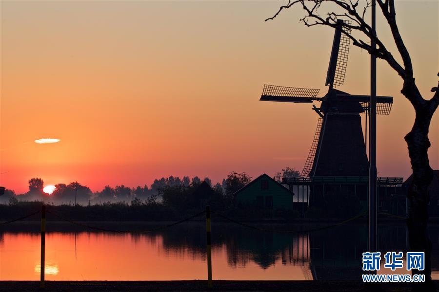 这是8月7日清晨在荷兰赞代克拍摄的风车