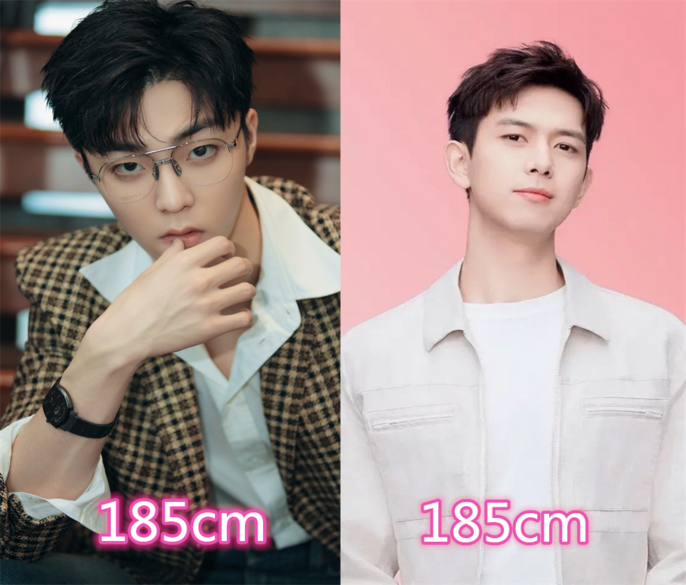 双男主身高差是多少陈立农李现看到胡一天这组8cm差距不算多