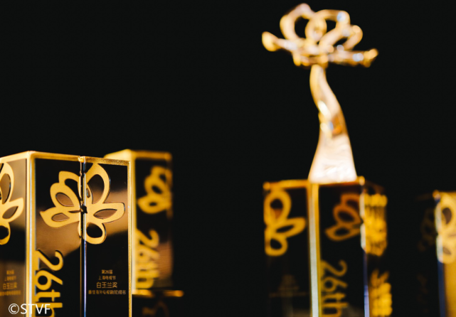 网剧「大胜」,中年女演员「绽放」丨直击白玉兰奖颁奖典礼