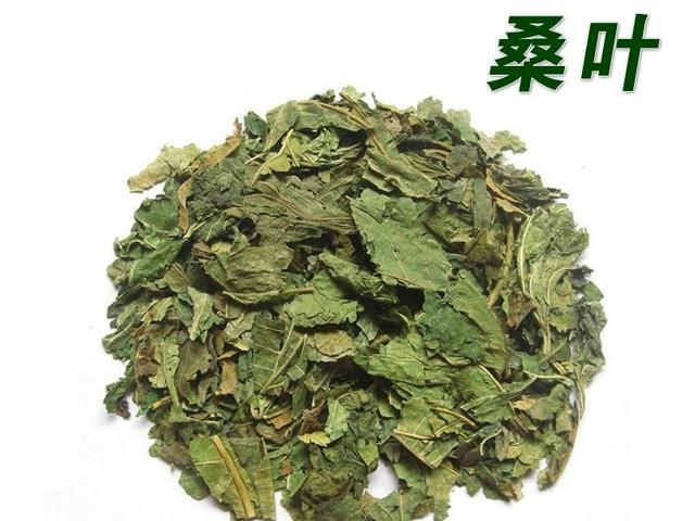 本草精荟中药桑叶桑枝桑椹桑白皮的功效与应用