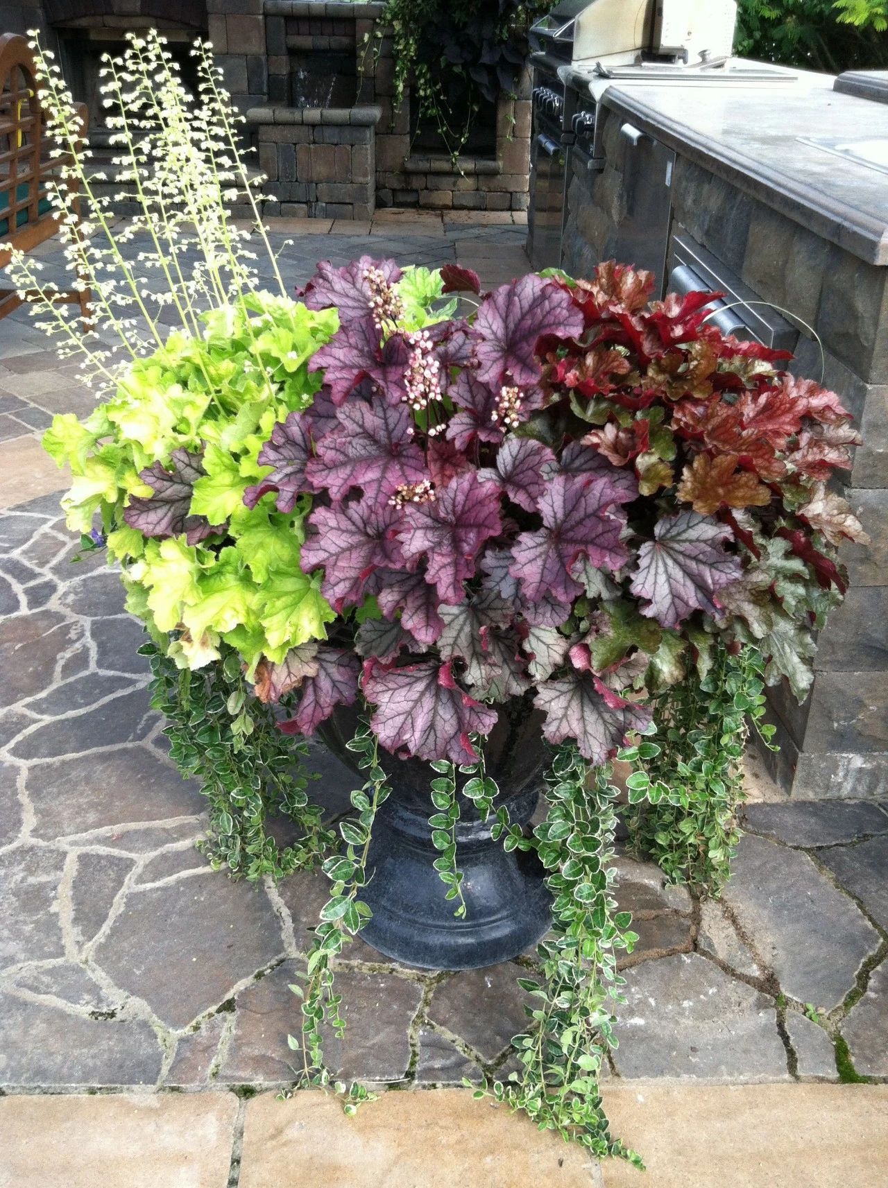 矾根是非常适合用来布置花境的,也适合搭配各类植物,形成好看的景观