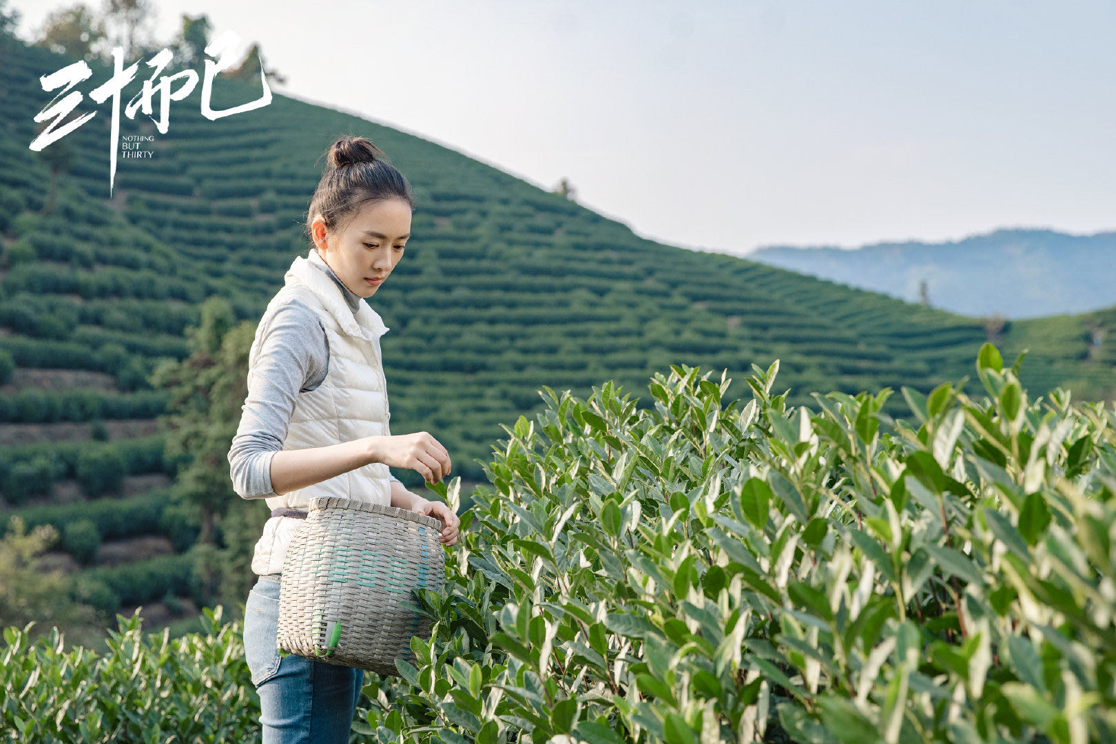 江疏影,童瑶,杨玏,毛晓彤,李泽锋领衔主演的都市女性情感剧《三十而已