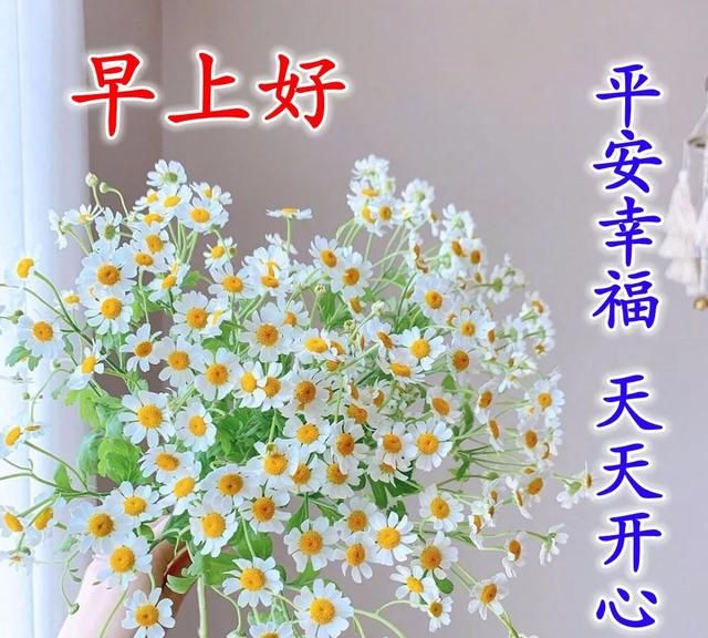 星期日早上好最美问候温馨图片带字,问候朋友阳光暖心的早安句子