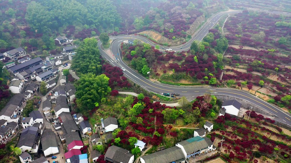 五角地带四明山镇非常之观